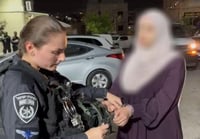 מעצר החשודה בהסתה