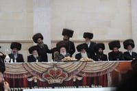 שמחת בית ויז'ניץ - פרמישלאן
