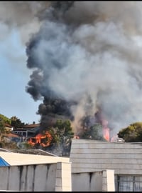 תיעוד המשריפה
