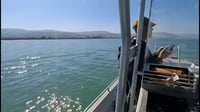 חבלנים הוזעקו: זוהה מיכל תדלוק של מטוס קרב בשמורה סמוכה לכנרת • תיעוד