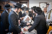 ברית מילה