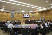 ועדת עובדים זרים בכנסת