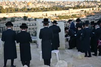 הילולא קדישא בסאווראן 
