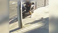 מניע ונמלט: גנב קטנוע מבני ברק ונתפס בתל אביב | תיעוד הגניבה