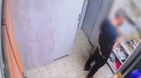 פרץ לעמותה החרדית, גנב - ולא הצליח להתאפק | תיעוד 