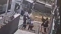 בתום מרדף נרחב: נעצרו הנערים שתקפו נהג אוטובוס בטבריה
