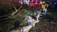 עץ קרס בבית החולים 'אסף הרופא'; בן 35 שליווה את אשתו ללידה - נהרג