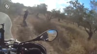 הנסיעה הפרועה של בן ה-15 על האופנוע - הסתיימה במרדף ומעצר | צפו