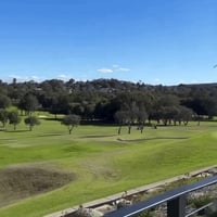 תיעוד מדהים מאוסטרליה: המטוס מנמיך גובה - ומתרסק על הדשא ללא פיצוץ