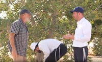 חוות האפרסמון שקבלה ברכה מהגר"ח קנייבסקי ומינוי ממכון המקדש | צפו