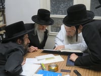 האדמו"ר מסטריקוב בביקור במעונו של הגאון רבי דב לנדו