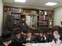 שמחת השבע ברכות בחצרות 'עטרת צבי' זידטשוב - ווערדאן 