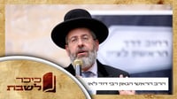פרשת שופטים • הגאון רבי דוד לאו עם וורט על הפרשה