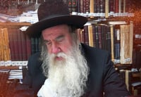 "ההוצאות של החולי מרובות": הקריאה הסוערת של הגר"מ גרוס
