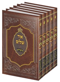 סדרת הספרים הפופולארית 'אור שלום' – על המועדים, מאת  האדמו"ר ממישקולץ