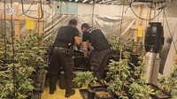 100 ק"ג | תיעוד: כך חשפו השוטרים מעבדת סמים בתוך גן ילדים נטוש