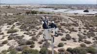 עמודים בבקעת הירדן מוגנו כדי למנוע התחשמלות של החסידות