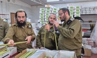 'סוכות טקטיות' ואלפי שופרות: כך מתכונן צה"ל לחגי תשרי בצל המלחמה