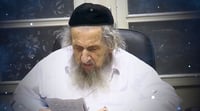 הגאון הגדול הרב דוב לנדאו