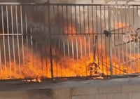השריפה בערב שבת בתל ציון לא הותירה סיכוי
