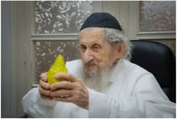 הגאון רבי דב לנדו בבדיקת אתרוגים