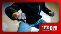 קשה לצפייה: אברך הותקף באלימות | ילדים סורים חוגגים לצד חיילי צה"ל • צפו 