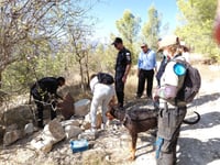 נפתח מבצע חיפושים נוסף אחרי הילדה הנעדרת: "מבקשים שיוגדר כחטיפה"