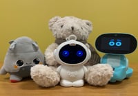 הדובי המסוכן