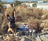 החיפושים אחרי מרדכי