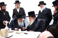 האדמו"ר מנדבורנה בביקור אצל האדמו"ר מקרעטשניף י-ם