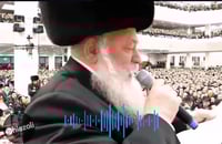 הקהל הוקסם | ח"כ גולדקנופף ביצע "בריך שמיה" מול האדמו"ר מגור