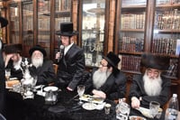 שמחת בר המצווה בחצרות ויז'ניץ -  נדבורנה