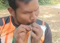 ויאד מבצע החייאה בנחש 