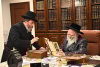 שוקי לרר אצל האדמו"ר מפרמישלאן