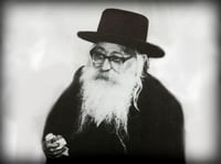 הרה"צ רבי דוד לייב שווארץ זצ"ל