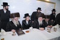 שמחת האירוסין בחצרות וואסלוי - אנטניא - קוז'ניץ