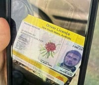 רישיון הנהיגה שנתפס