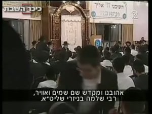 שבוע אחרון. בניזרי מטיול