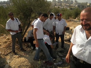 במפתיע: נהגי "סופרבוס" פתחו בשביתה במודיעין-עלית