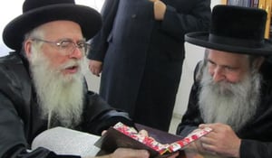תמונות: ביקור רבי אלעזר מרדכי קעניג ביבנאל