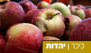 פרשת וארא: שדה התפוחים של האר"י