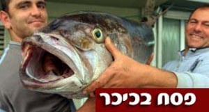 מנקים דגים לפסח? זהירות, רעל