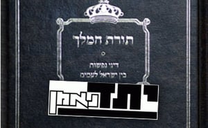 לוגו "יתד נאמן" לצד שער "תורת המלך" (פלאש 90)