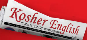 לוגו העיתון החדש