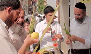 כתבת וידאו: רבבות רוכשים ארבעת המינים בירושלים