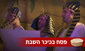 ה'מכביט'ס' מציגים: Les Misérables - סיפור יציאת מצרים