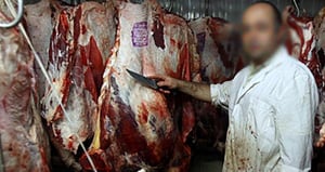 בשר, התעללות בבעלי חיים?