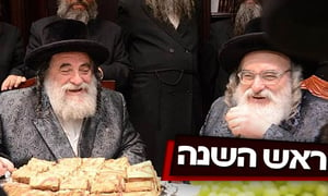 האחים האדמו"רים מויז'ניץ