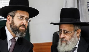 הרבנים הראשיים נגד הפלות: "יש להתייחס לעובר כאל ייצור חי"