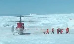 לאחר שבוע: נוסעי הספינה שנלכדה בקרח באנטרטיקה חולצו